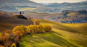 Initiative to encourage settlement in widespread tuscany 2025