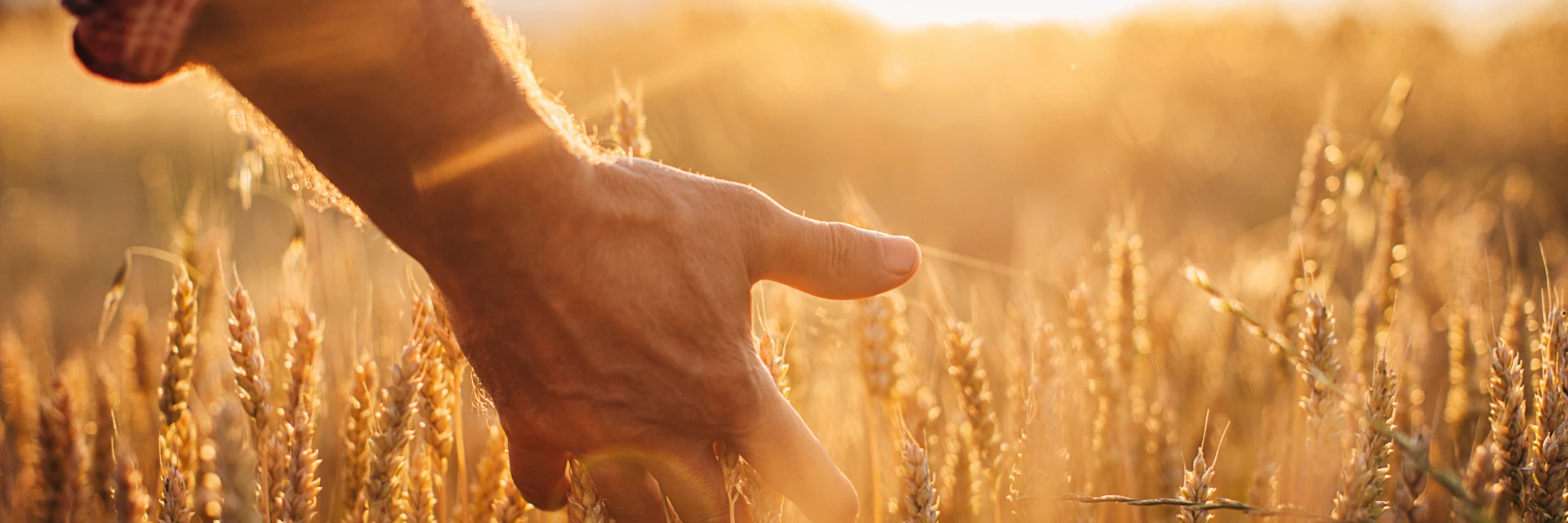 Seasonal 1920 X 640 Px
