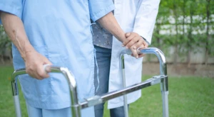 Italian Citizenship And Invalidity Pension 600 X 400 Px
